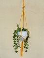 IMG-0377.jpg