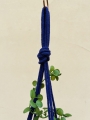 IMG-0424.jpg