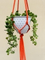 IMG-0434.jpg