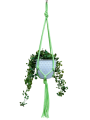 IMG-0796-removebg-preview.png