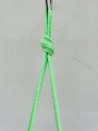 IMG-0799.jpg