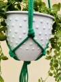 IMG-0809.jpg