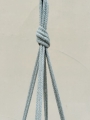 IMG-0817.jpg