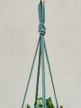 IMG-0823.jpg