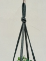 IMG-0829.jpg