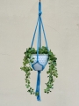 IMG-0843.jpg