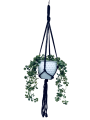 IMG-0868-removebg-preview.png