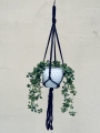 IMG-0868.jpg