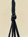 IMG-0900.jpg