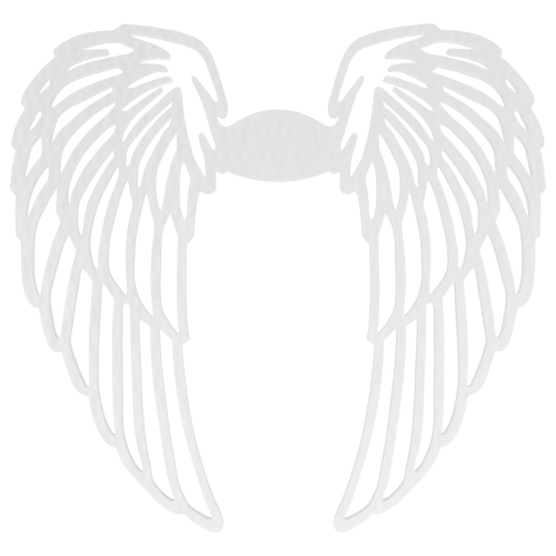 s0062b.png