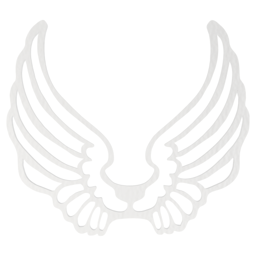 s0156b.png