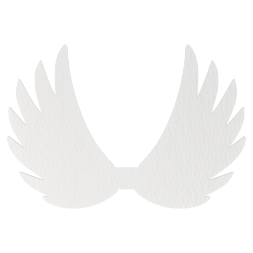 s0462b.png