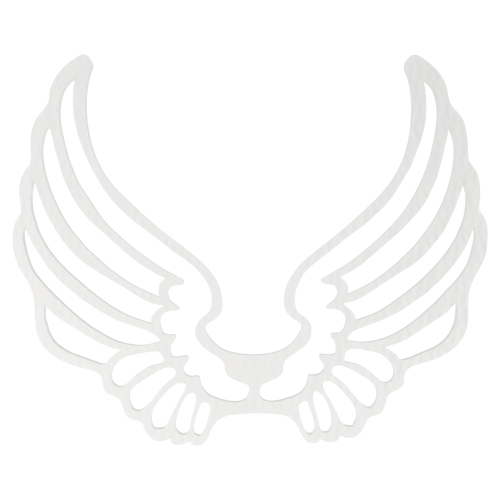 s0153b.png