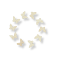 s0027.png