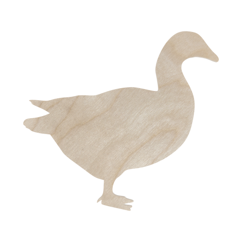 s1563.png
