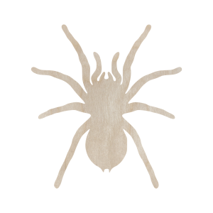 Drewniany pająk PTASZNIK TARANTULA  15 cm kształtka owady pajęczaki do dekorowania