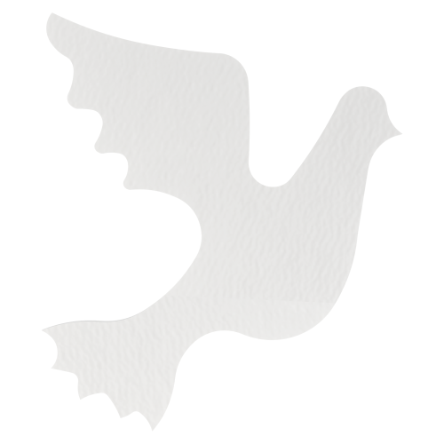 0d1ec5160a6804a2b64bc0ec393112c0.png